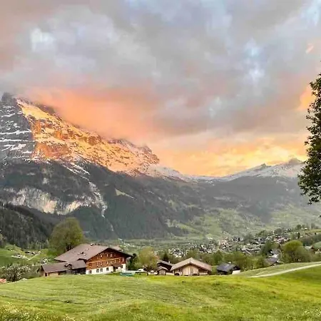 Charlys Chalet Wieseli In Apartmán *