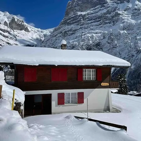Charlys Chalet Wieseli In Appartement *