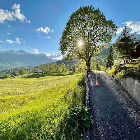Charlys Chalet Wieseli In