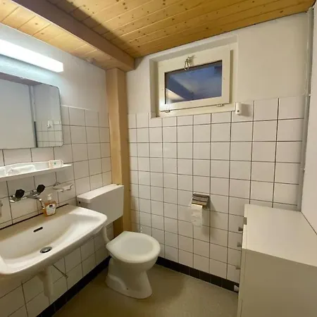 Charlys Chalet Wieseli In Appartement Grindelwald
